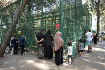 Gaziantep Doğal Yaşam Parkı’nda 8 ayda bir yılın rekoru kırıldı
