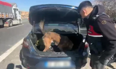 Gaziantep İl Jandarma Komutanlığı&rsquo;ndan Otoyolda Uyuşturucu Operasyonu