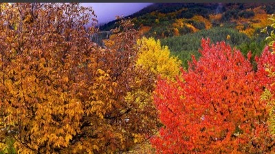 Gaziantep’in Zirvesinde Yeni Bir Vizyon: Huzurlu Yaylası Kalkınmanın Yeni Merkezi Oluyor