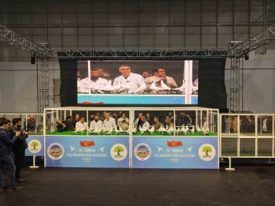 Gaziantep&rsquo;te &rsquo;29. T&uuml;rkiye Filo G&uuml;vercin G&uuml;zellik Festivali&rsquo; d&uuml;zenlendi
