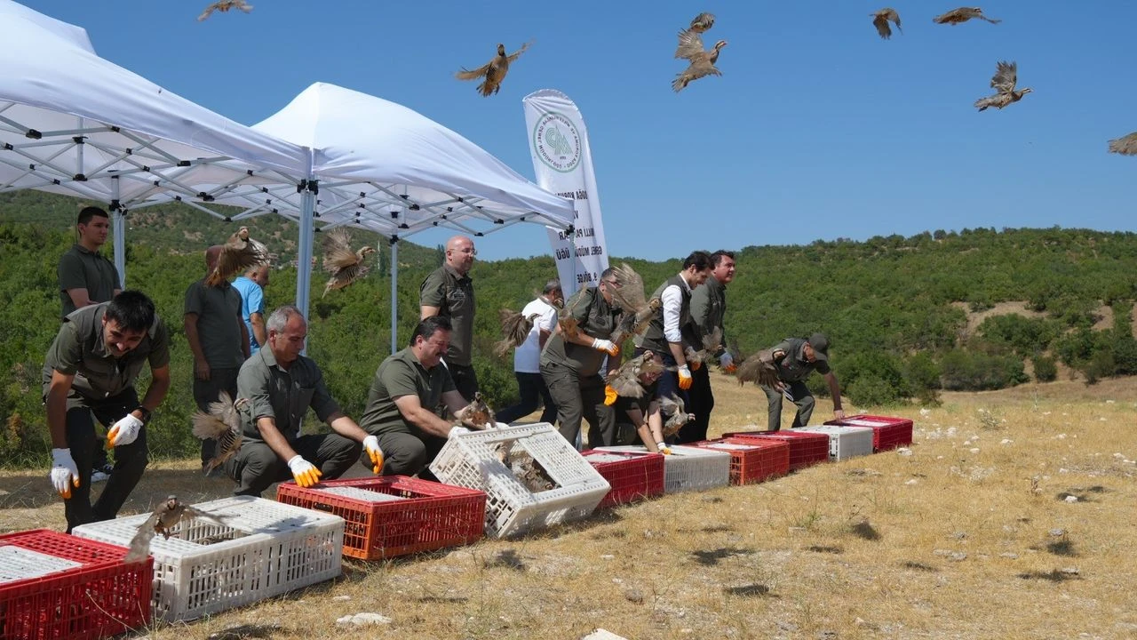 Gaziantep’te 45 Bin Kanatlı Doğayla Buluşuyor
