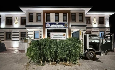Gaziantep’te 825 kök kenevir ele geçirildi: 2 şahıs tutuklandı
