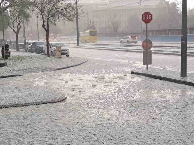 Gaziantep&rsquo;te ceviz b&uuml;y&uuml;kl&uuml;ğ&uuml;nde dolu yağdı
