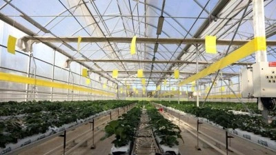 Gaziantep'te dev tesis harıl harıl &ccedil;alışıyor! &Ccedil;&ouml;pler elektriğe d&ouml;n&uuml;yor!