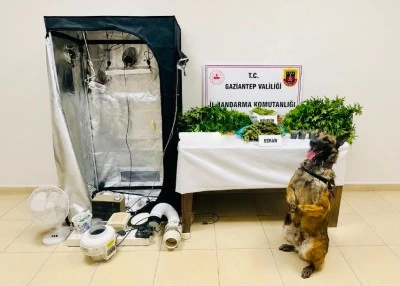 Gaziantep'te Dev Uyuşturucu Operasyonu! 70 Ş&uuml;pheliye Şafak Baskını