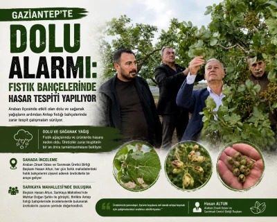 Gaziantep&rsquo;te Dolu Alarmı: Fıstık Bah&ccedil;elerinde Hasar Tespiti Yapılıyor