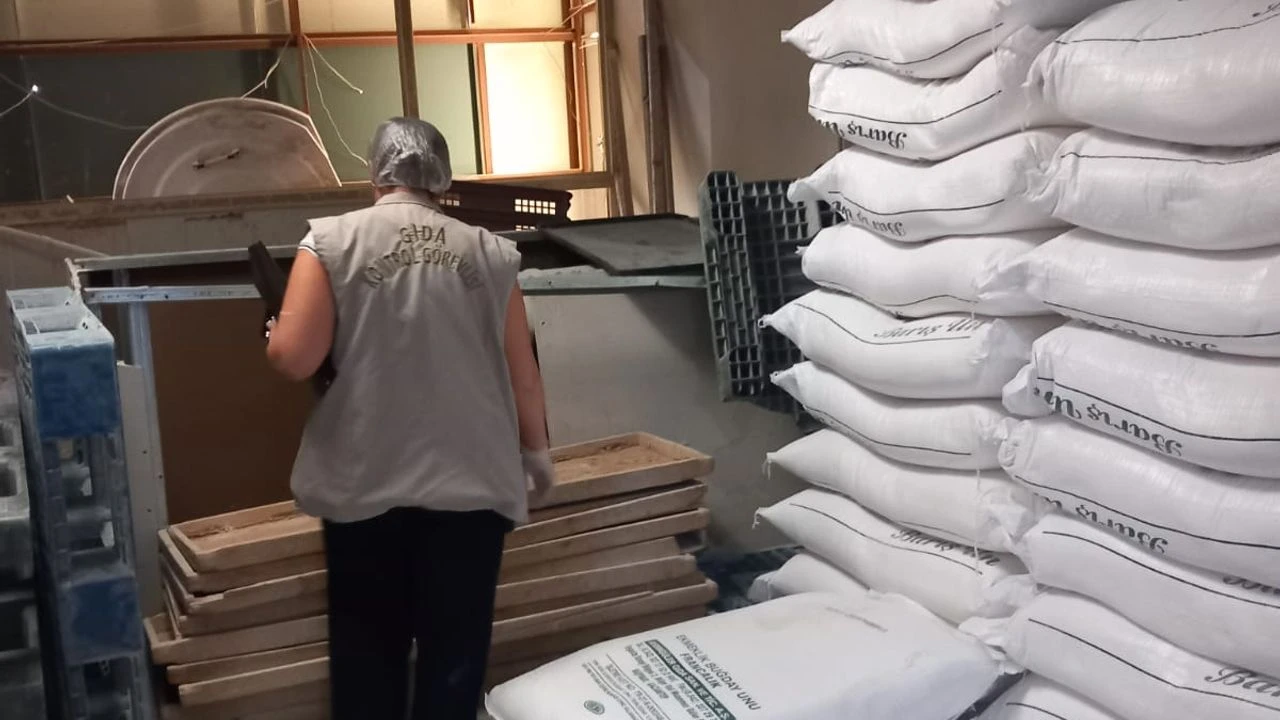 Gaziantep’te ekmekten böcek çıkmıştı! Ekmek fırınında şok manzara! Ne hijyen var ne de kayıt belgesi! 