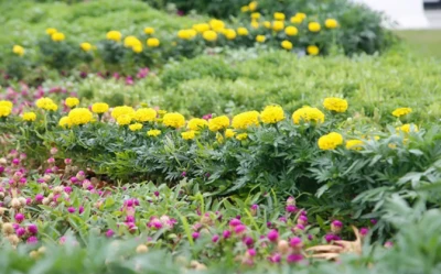 Gaziantep&rsquo;te Evlerin Gizli Tehlikesi