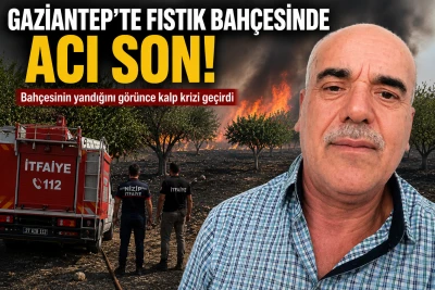 Gaziantep'te Fıstık Bah&ccedil;esini Yanmış Halde G&ouml;r&uuml;nce Hayatını Kaybetti