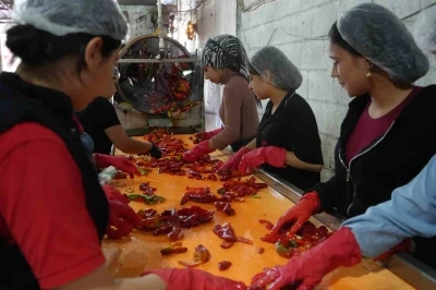 Gaziantep’te kadınların ’acı’ mesaisi
