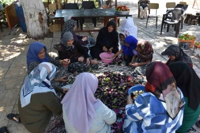 Gaziantep’te kadınların imece usulü kurutmalık telaşı
