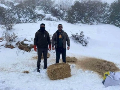Gaziantep&rsquo;te karlı havada a&ccedil; kalan yaban hayvanları i&ccedil;in doğaya yem bırakıldı