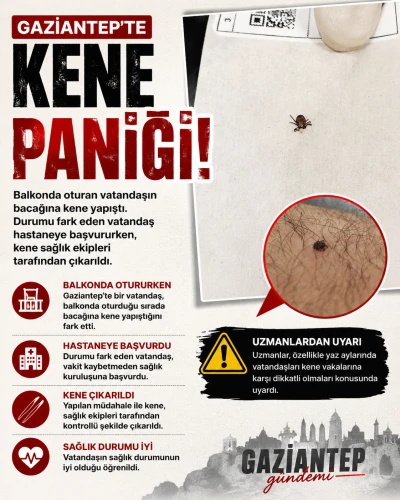 GAZİANTEP&rsquo;TE KENE PANİĞİ!
