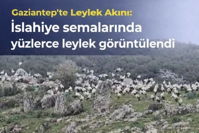 Gaziantep&rsquo;te Leylek Akını: İslahiye semalarında y&uuml;zlerce leylek g&ouml;r&uuml;nt&uuml;lendi