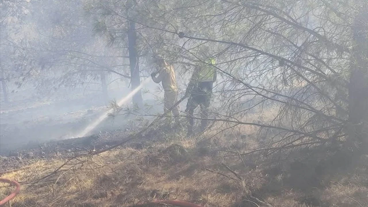 Gaziantep’te Orman Yangını Kontrol Altına Alındı