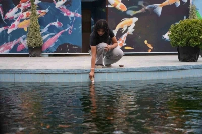 Gaziantep’te rengarenk Japon koi balıklarını ziyaretçiler biberonla besliyor