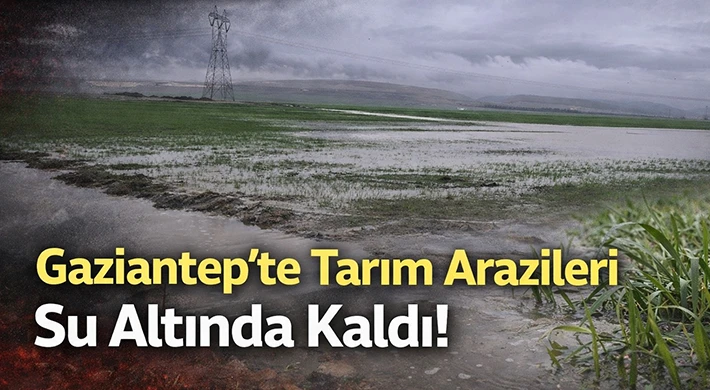 Gaziantep&rsquo;te Sağanak Tarım Arazilerini Vurdu