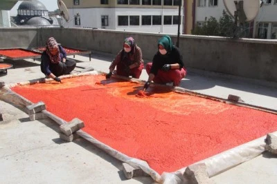 Gaziantep'te salça çekim işletmelerinden randevulu hizmet