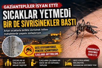 Gaziantep'te Sivrisinek Alarmı! Vatandaşlar Gece Uyuyamadıklarını S&ouml;yl&uuml;yor