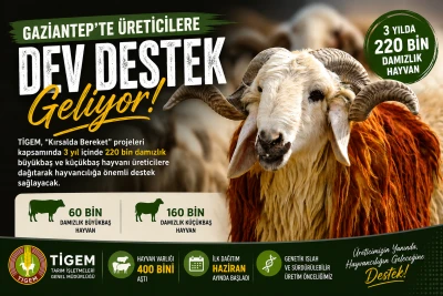 Gaziantep&rsquo;te &Uuml;reticilere B&uuml;y&uuml;k Destek: 3 Yılda 220 Bin Damızlık Hayvan Dağıtılacak