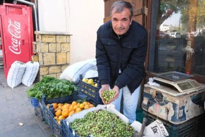 Gaziantep'te yeşil zeytin fiyatları sabit kaldı
