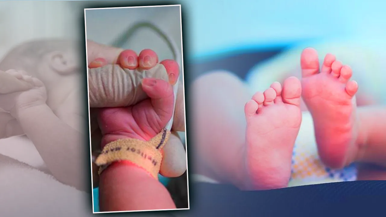 Gaziantep ve T&uuml;rkiye&rsquo;de Alparslan&rsquo;lar &ccedil;oğalıyor