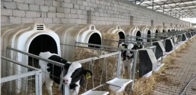 Gaziantepli Besicilere Devlet Destekli Yeni Fırsat
