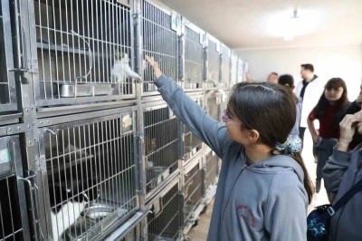 Gaziosmanpaşa’da Dünya Hayvanları Koruma Günü’ne özel etkinlik
