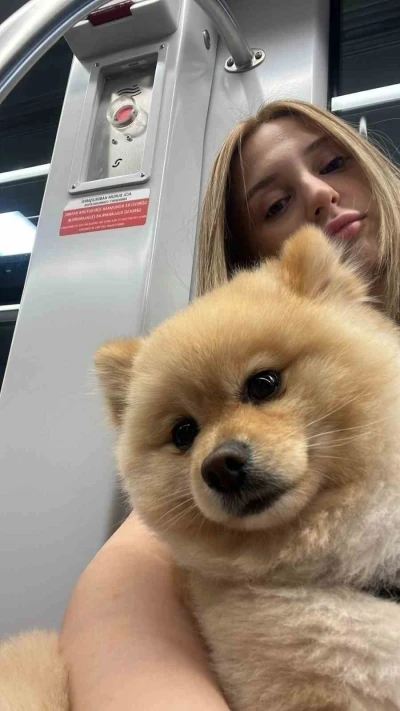 Gaziosmanpaşa&rsquo;da "petshopta yıkanan k&ouml;peğin ihmalden &ouml;ld&uuml;ğ&uuml;" iddiası
