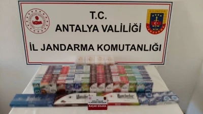 Gazipaşa’da 250 kilo kaçak tütün ve 420 paket kaçak sigara ele geçirildi
