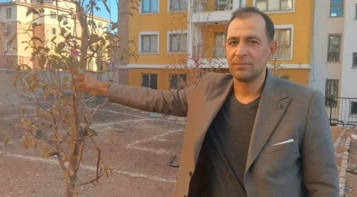 Geçen yıl kuruyan ağaçlar kasım ayında çiçek açtı
