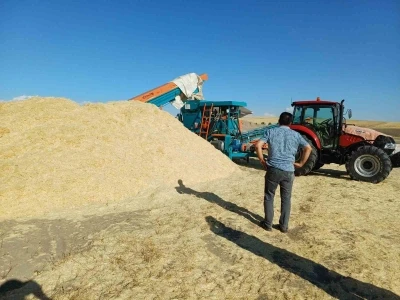 Geçen yıl tarlada çürüyen saman, bu yıl çiftçinin yüzünü güldürdü
