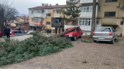 Gediz&rsquo;de şiddetli r&uuml;zgar ağa&ccedil;ları devirdi, binalarda hasara sebep oldu
