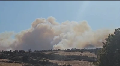 Gelibolu’da orman yangınına havadan ve karadan müdahale ediliyor
