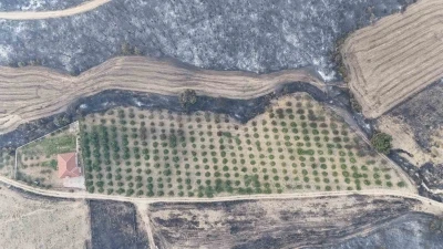 Gelibolu yangınında herkesin yüreğini ferahlatan görüntü
