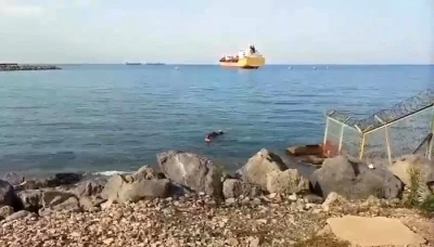 Gemiden denize düşen angus yüzerek karaya ulaştı
