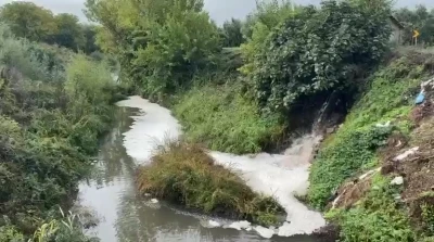 Gemlik Körfezi’nde kirlilik endişeye yolaçıyor

