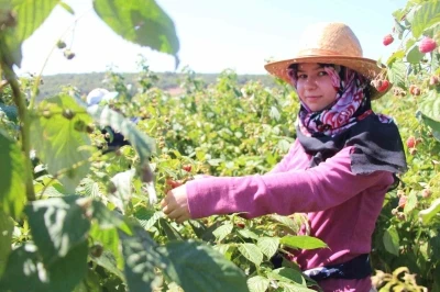Genç girişimci tarımda kendi işinin patronu oldu
