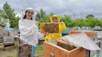 Gen&ccedil; kadın girişimciden 350 kovanlık başarı
