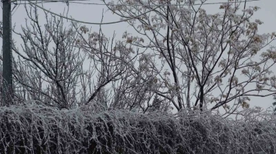 Gerc&uuml;ş beyaz &ouml;rt&uuml;yle kaplandı
