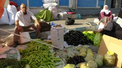 Gercüş’te organik ürünlerdeki bolluk fiyatları düşürdü
