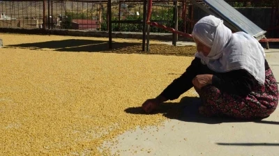 Gercüş’te yüzyıllardır devam eden bulgur kaynatma geleneği devam ediyor
