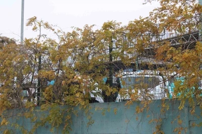 Geri dönüşüm tesisindeki koku ekipleri harekete geçirdi
