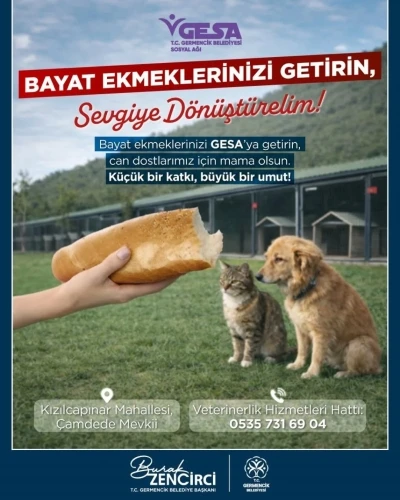 Germencik&rsquo;te bayat ekmekler can dostlara mama oluyor

