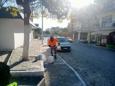 Germencik’te kireçleme ve ağaç budama çalışması
