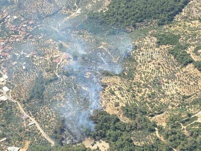 Germencik’te orman yangını
