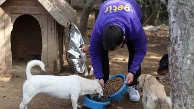 Getir’den bu yıl da 1 milyon kap mama desteği
