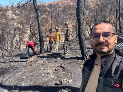 Geyve’nin yanan ormanları yeniden yeşeriyor
