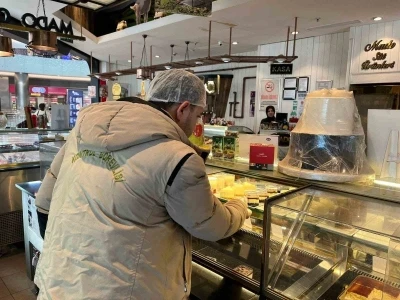 Gıda işletmelerine y&ouml;nelik denetim
