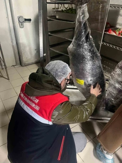 Gıda &uuml;retim ve satışı yapan işletmelerine y&ouml;nelik denetim
